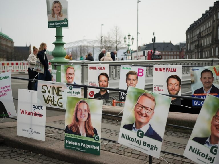Polls open in key Denmark elections clouded by Trump’s Greenland threat | Politics News