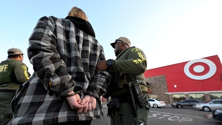 Minnesota Democrat suggests studying ‘benefits of shoplifting’ in hearing