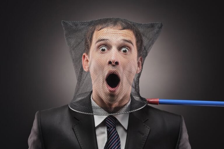 Crooks compromise WordPress sites, spread infostealers • The Register