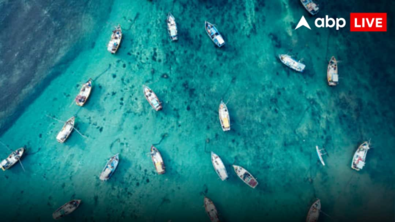 Chinese Boats: China is going to do something big by hiding from the world! Thousands of boats landed in the sea, what is the matter?