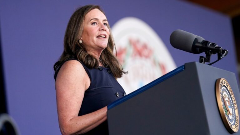 Former Virginia first lady Dorothy McAuliffe runs for congressional seat