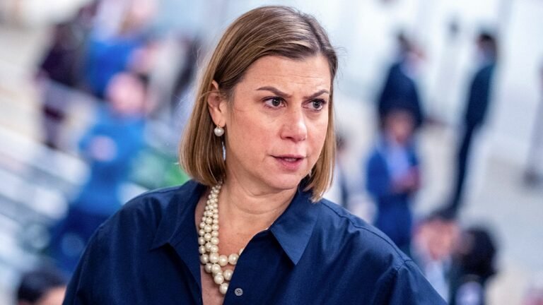 Sen. Slotkin warns Trump could try to steal 2026 election with ICE at polls