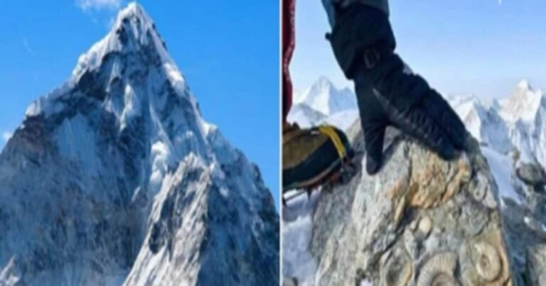 Such a thing was found on the top of Mount Everest, scientists were shocked to see it, a terrible secret was revealed!