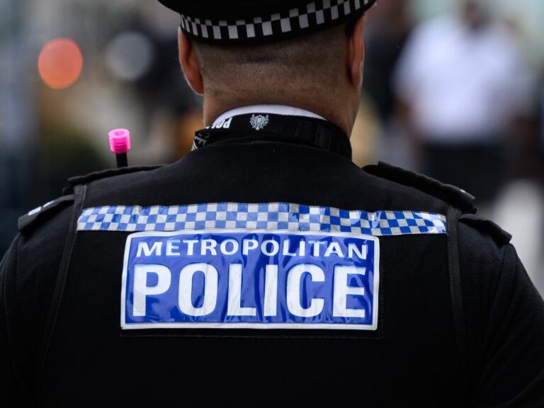 London police officer filmed in crowd intimidating Al Jazeera journalists | Police News