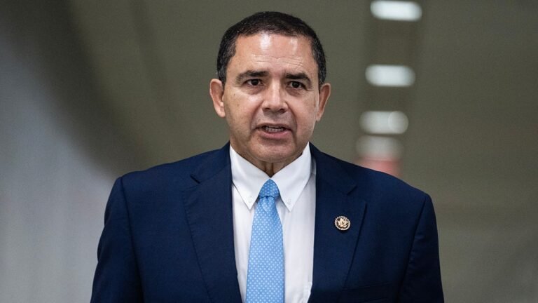 Tano Tijerina wins GOP primary to face Henry Cuellar in November election
