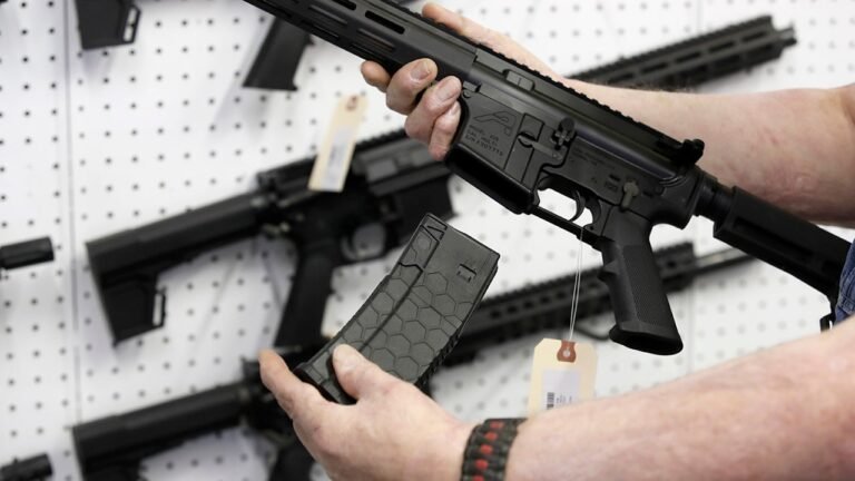 DC ban on certain gun magazines is ruled ‘unconstitutional’ by appeals court