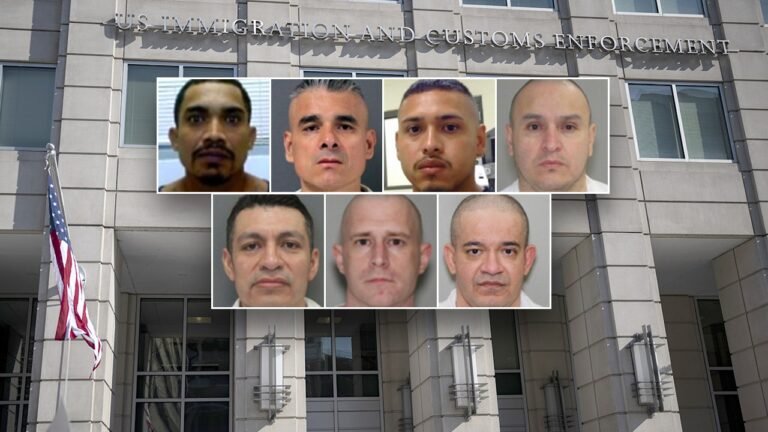 ICE Houston nabs hundreds of child sex offenders during Trump’s first year back