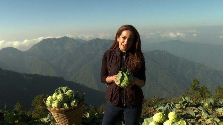 Philippines farmers feeling the pinch of the war on Iran | Oil and Gas