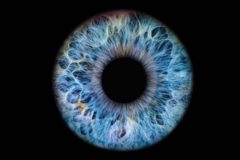 scan eyeballs to tie identity to AI agents • The Register
