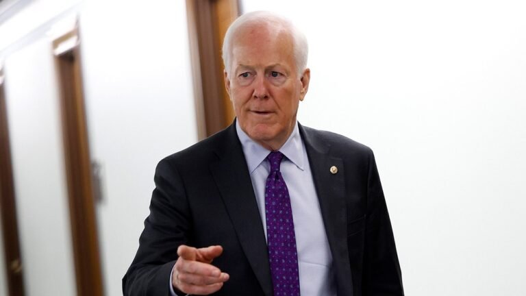 Texas GOP senator abandons prior filibuster stance on Trump’s voter ID bill