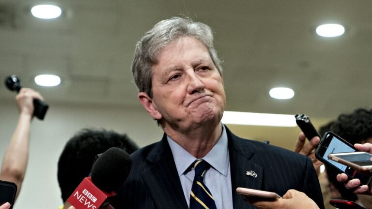 Dem witness argues immigrants ‘benefit’ country by reducing deficit