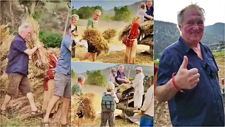 Rajasthan News: Tourists from France harvest wheat in the field, unique video of helping farmer in Alwar – Rajasthan News: Tourists from France harvest wheat in field; Lend A Helping Hand To Farmer