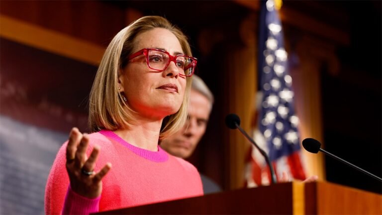 Former Democratic senator Kyrsten Sinema admits to affair with former bodyguard