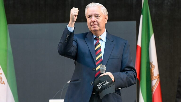 Trump-endorsed Sen Lindsey Graham files for re-election