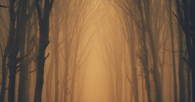 A man lived with wolves for 12 years, started feeling suffocated when he came among humans, now wants to return to the forest!