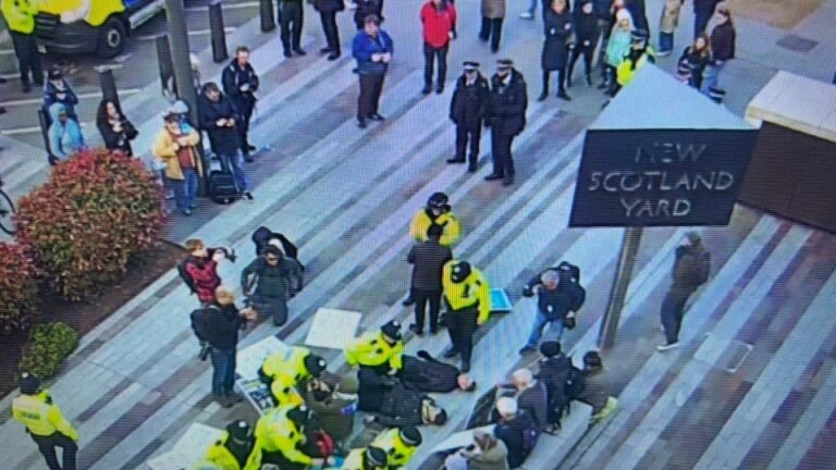Palestine Action supporters arrested as London’s Met Police reverse policy | Israel-Palestine conflict News