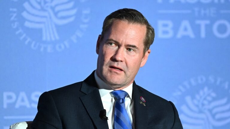 US using Iran oil strategy against them to curb price surge, Waltz says