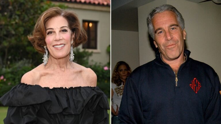 Hollywood publicist admits knowing Jeffrey Epstein was ‘morally compromised’