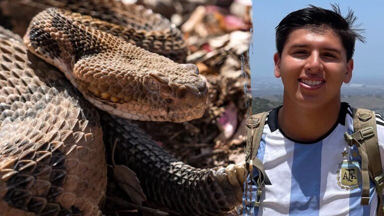 California mountain biker dies from rattlesnake bite at trail
