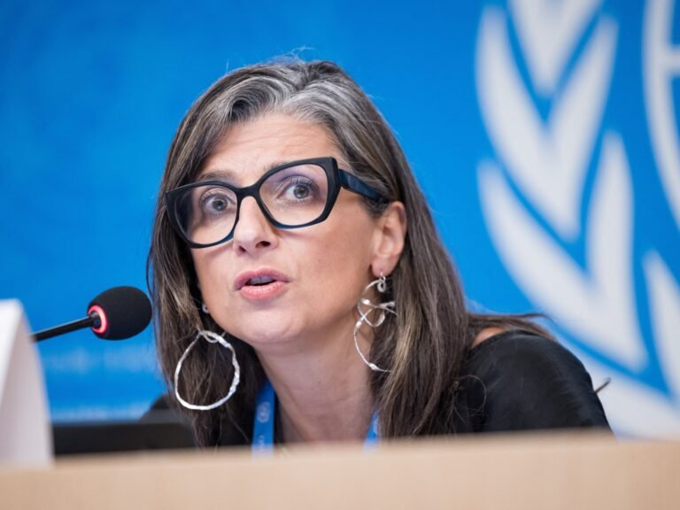 Israel systematically torturing Palestinians in custody, says UN expert | Israel-Palestine conflict News