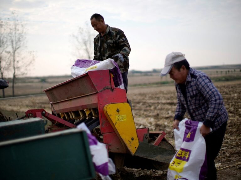 Not just energy: How the Iran war could trigger a global food crisis | US-Israel war on Iran News