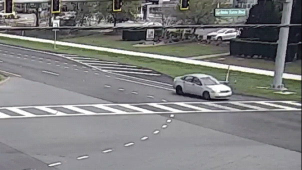 Florida habitual offender caught on camera driving backwards on highway