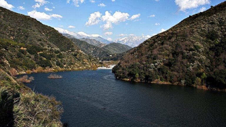 Mother drowns along trail in Angeles National Forest, rescue team says
