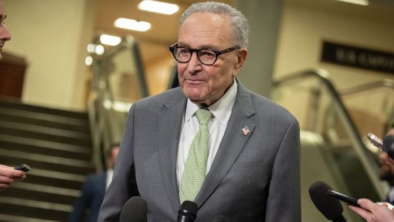 Schumer, Democrats hold firm on DHS funding despite Noem’s abrupt ouster