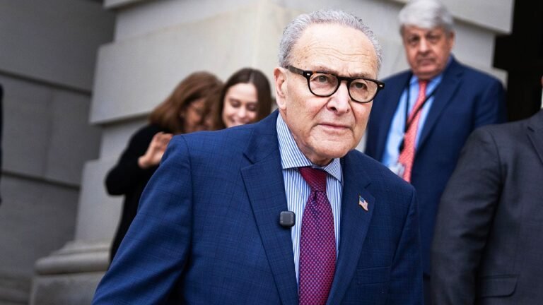 Dems block another attempt to reopen DHS as shutdown enters 27th day