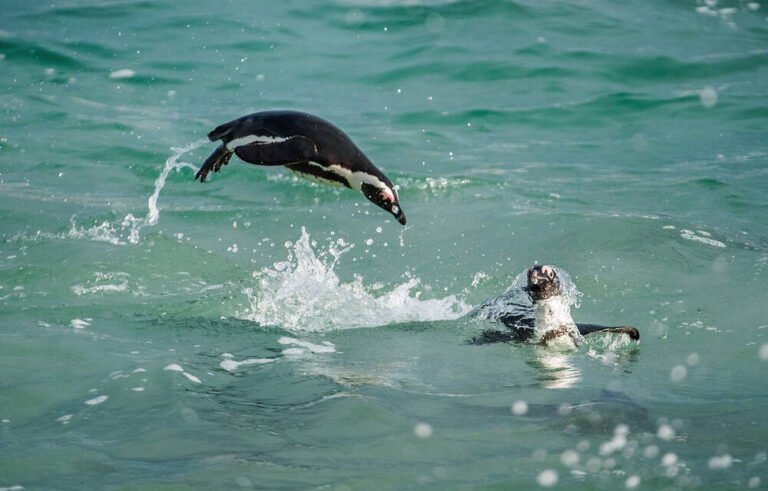 New bcachefs release, and KDE Linux adds APFS support • The Register