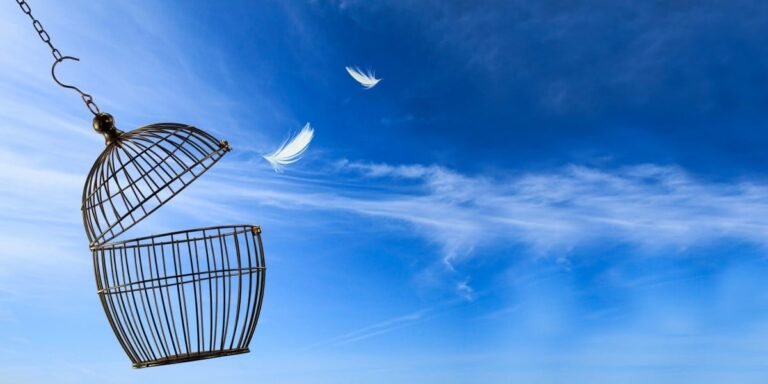 FSF urges AI vendors to liberate LLMs • The Register