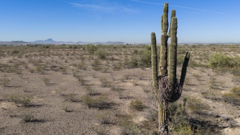US suffers hottest March day ever recorded as heat dome drives up temperatures | US News
