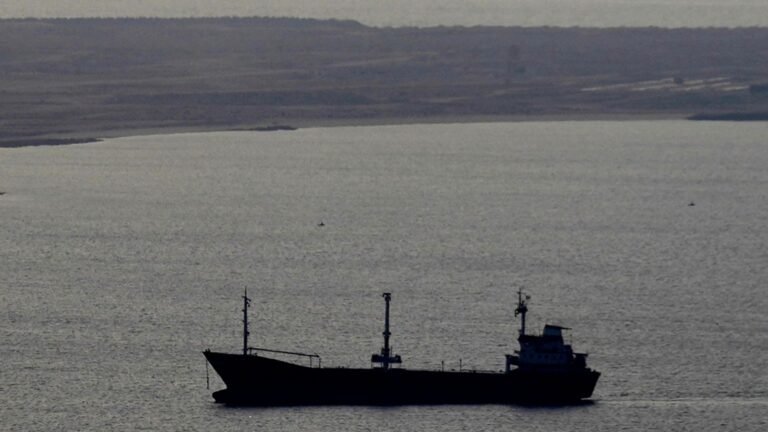 Trump’s solutions to Iranian shipping threat leave insurance sector unimpressed | Money News