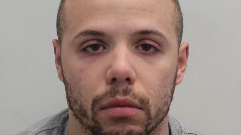 Van driver jailed after killing London student | UK News