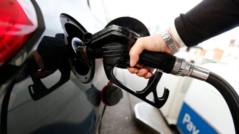Fuel retailers ‘losing money’ on diesel as prices spike | Money News