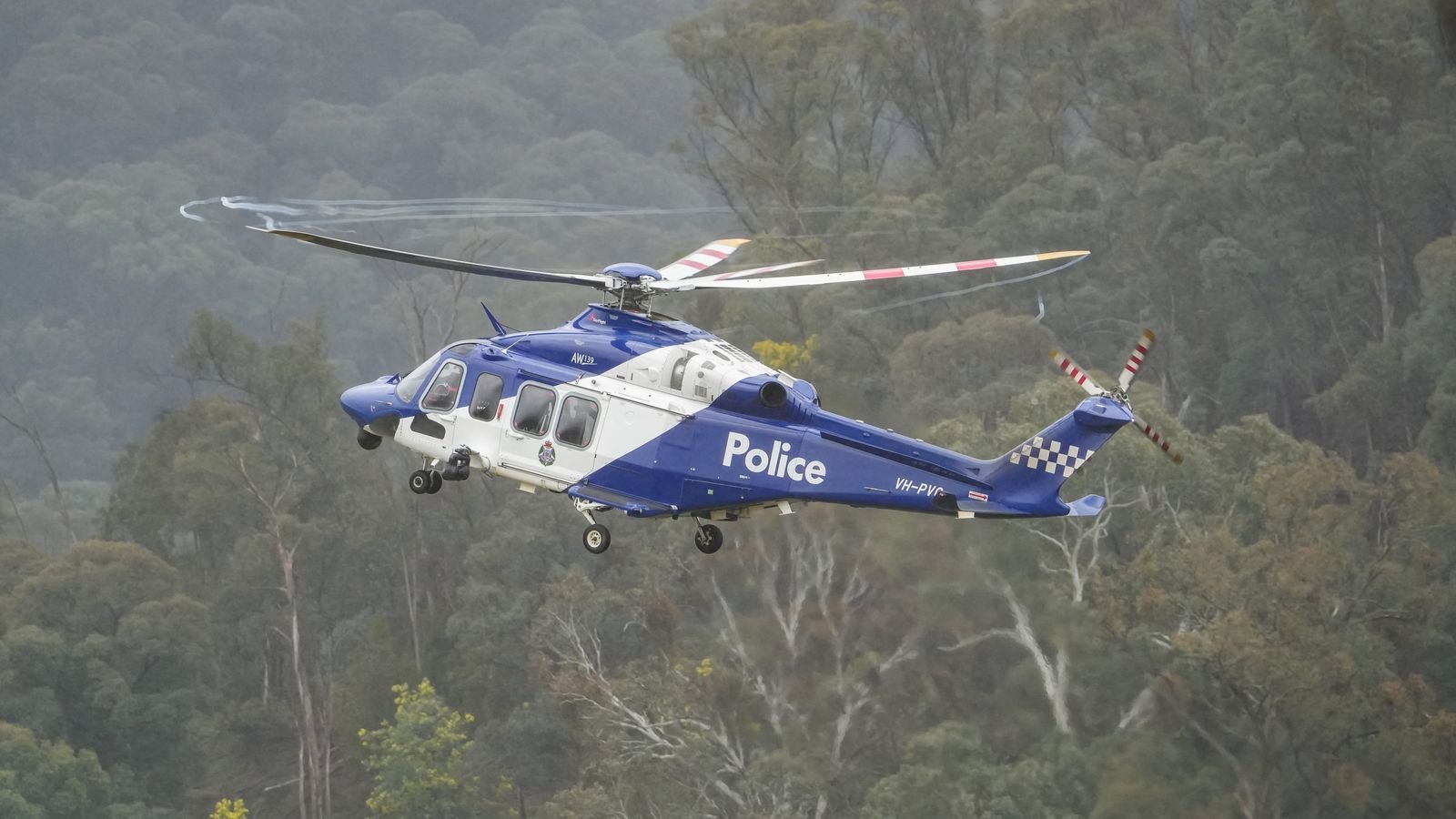 skynews-freeman-australia_7206519.jpg