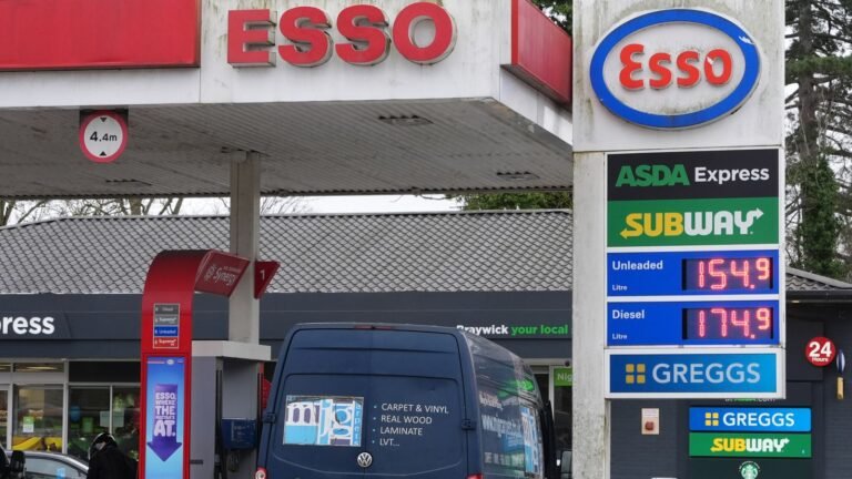 Motorists should ‘fill up as normal’ despite fuel prices soaring, minister says | Politics News