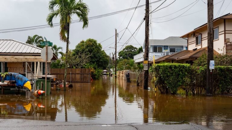 Hawaii suffers worst flooding in 20 years as residents told to ‘LEAVE NOW’ | US News