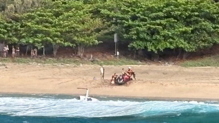 Three killed in tourist helicopter crash in Hawaii | US News