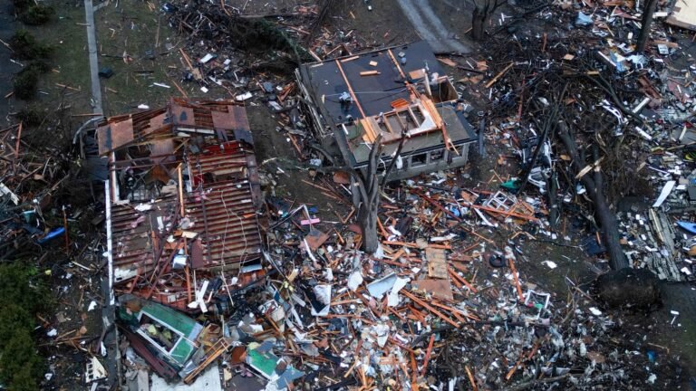 Tornadoes kill two in Indiana and rip through Illinois | US News