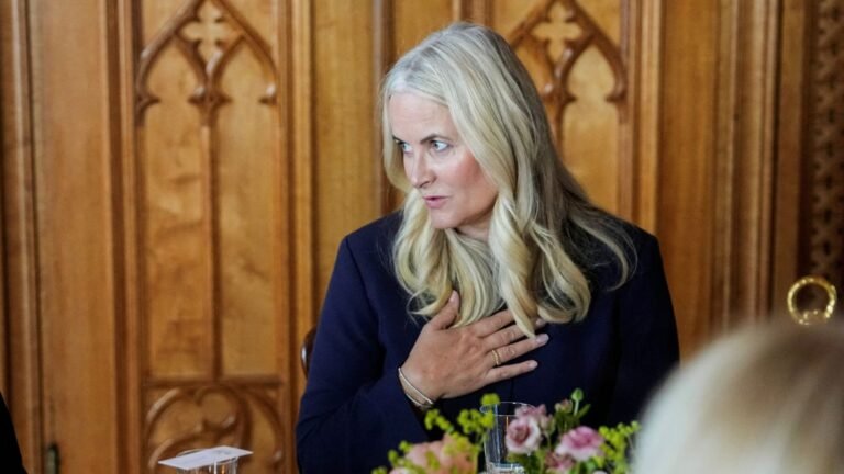 Norway’s crown princess tearful as she speaks out on friendship with Jeffrey Epstein | World News