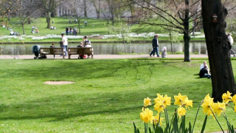 UK weather: Temperatures could soar to 21C as sunshine arrives | UK News