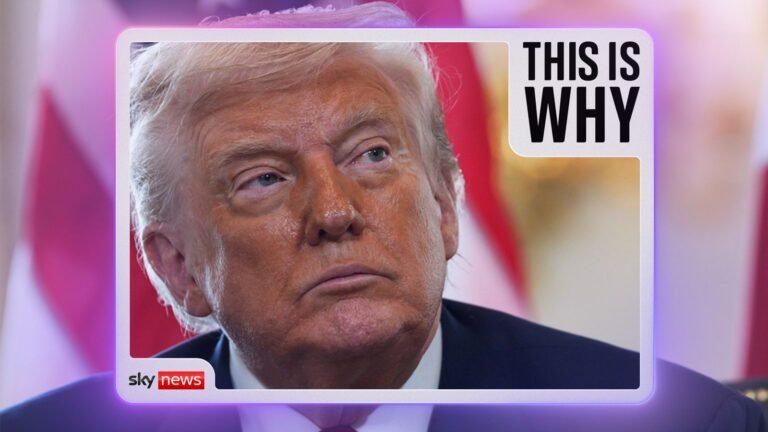 Why Europe is finally standing up to Donald Trump | US News