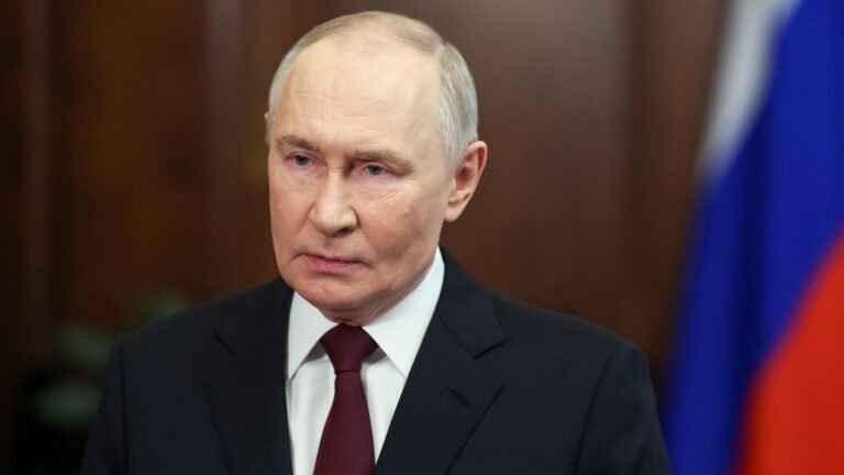 Putin likely helping Iran with drones, UK defence secretary says | World News