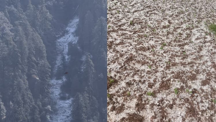 Snowfall: Snow fell on the high peaks of Chakrata in March after seven years, third snowfall of the season increased the cold – Chakrata High Peaks Received Snowfall In March After Seven Years Uttarakhand Snowfall