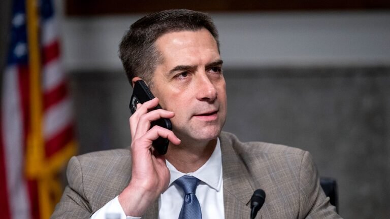 Cotton charges Biden drained strategic oil stockpile for political gain
