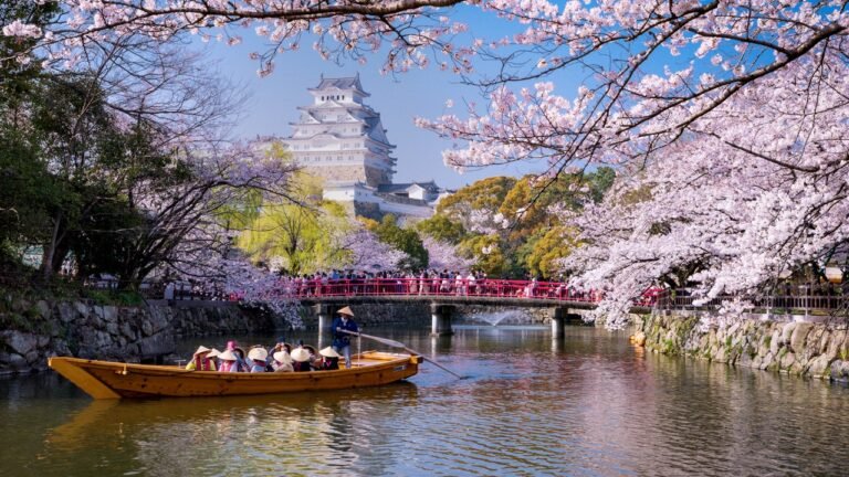 Japan launches new mandatory online travel authorization system for tourists