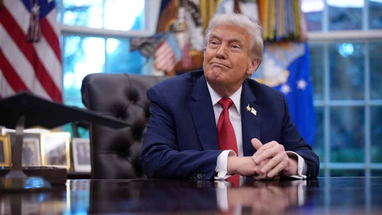 ‘The View’ guest host says Dems should stop obsessing over Trump now