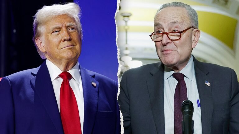 Trump mocks Schumer on Truth Social for his Senate floor ICE near gaffe