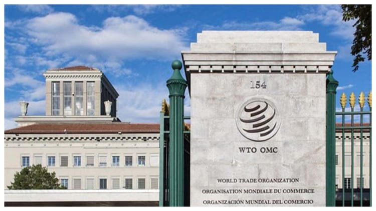 India’s strong stance in WTO meeting: Focus on interests of farmers and fishermen, demand for freedom in digital trade also – India To Push For Farmers And Fisheries Interests At WTO Cameroon Meeting